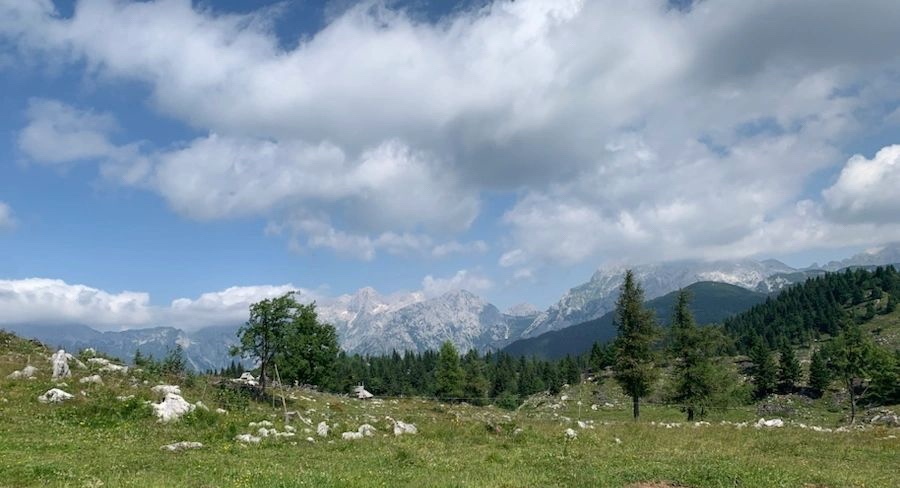 Velika Planina –&nbsp;Wow