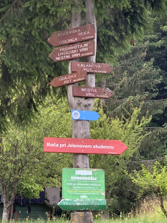 Ljubljana arrival and Kocevje&nbsp;Hiking